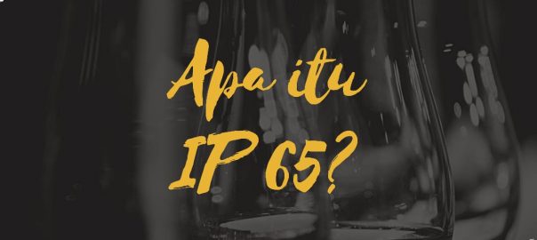 Apa itu IP 65