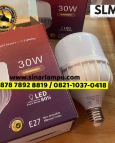 Lampu LED Bulb 30 Watt E27