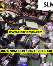 Lampu LED Ulir 3W Merah dan Hijau Bossecom