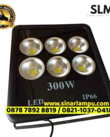Lampu Sorot LED 300W IP66