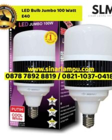 LED Bulb Jumbo 100 Watt E40