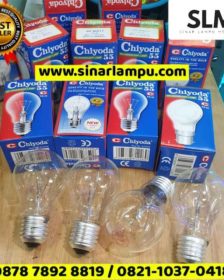 Lampu Pijar Chiyoda 60 Watt DC 24V E27 kaca clear