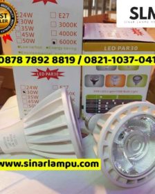 Lampu PAR30 E27 30 Watt LED 6000K 4000K 3000K