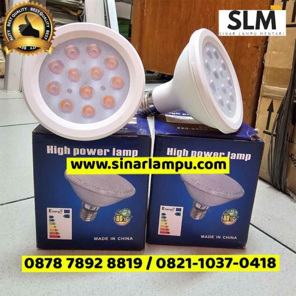 Lampu PAR30 12 Watt 12mata LED 3000K 4000K 6000K