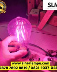 Lampu Hias Dekorasi Filamen ST64 LED 4 Watt Cahaya Pink