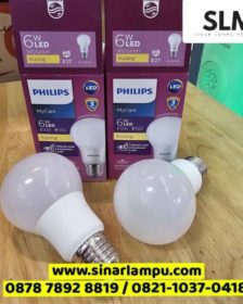 Lampu Bohlam LED Bulb 6 Watt Philips 560 lumens
