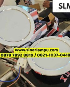 Lampu Downlight LED 20 Watt Cahaya 3000K dan 6000K